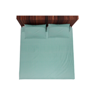 Cotton Double Flat Bedsheet With 2 Pillow Covers (Green)