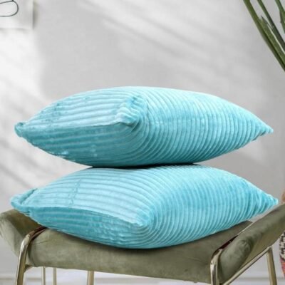 Cushion Cover Set of 2 (Aqua)